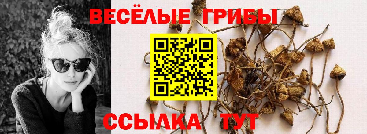 Псилоцибиновые грибы Cubensis Коломна
