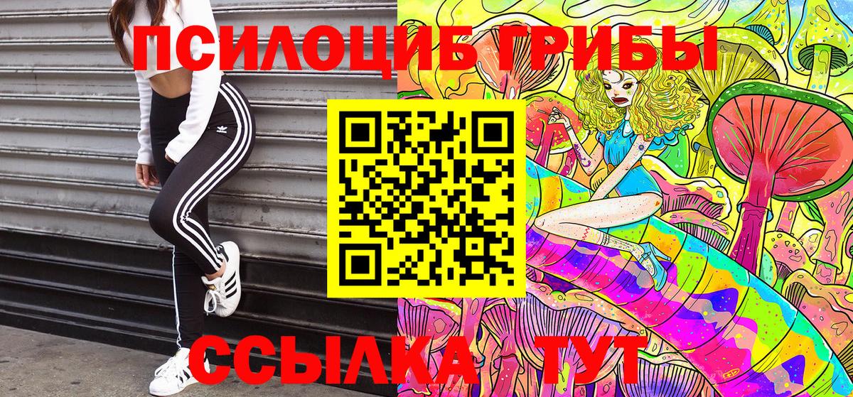 Псилоцибиновые грибы MAGIC MUSHROOMS  Вход с VPN  Коломна 